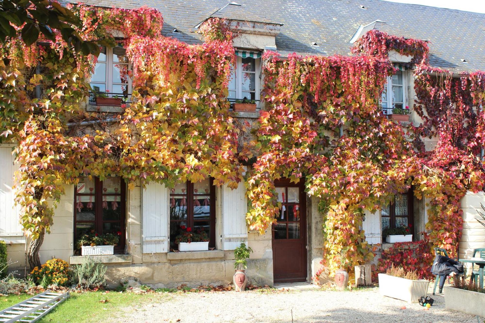 Croutoy Ma Gentilhommiere Bed & Breakfast エクステリア 写真